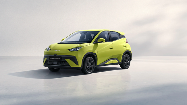 BYD DOLPHIN SURF